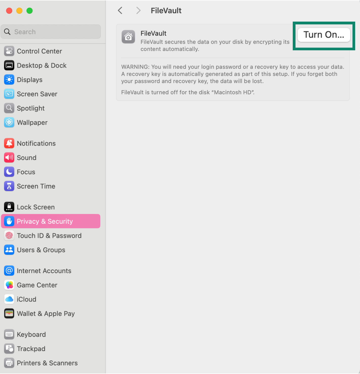 FileVault screen with “Turn On” button highlighted.