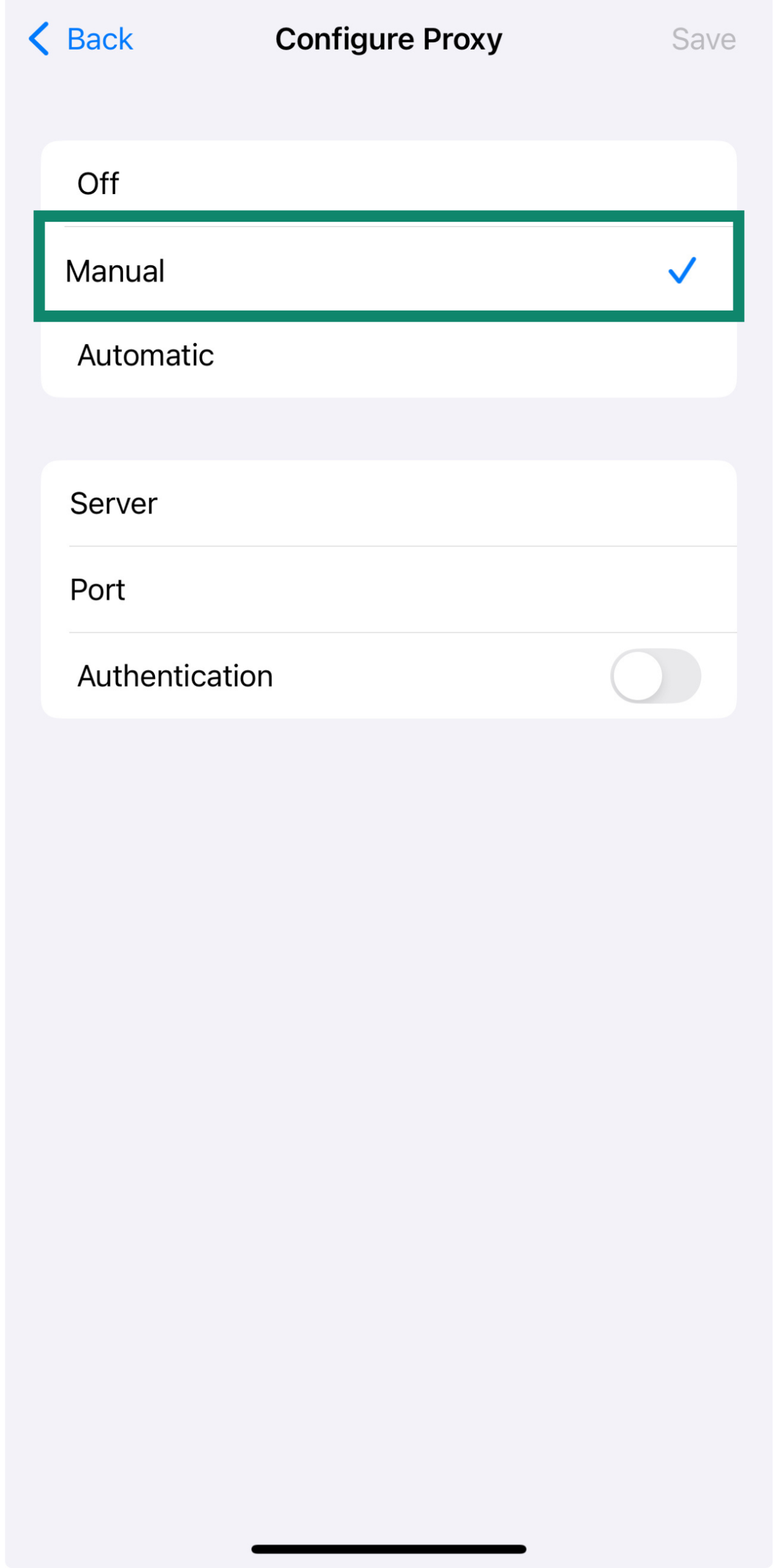 Configure Proxy manual server and port input iPhone