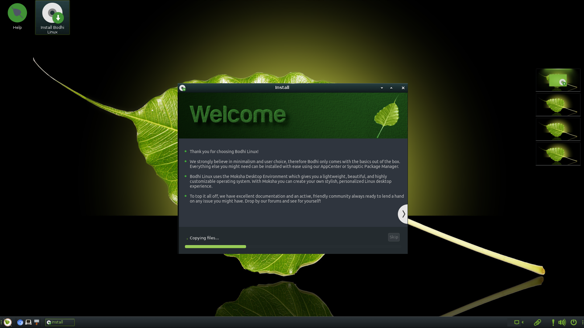 Bodhi Linux desktop background.