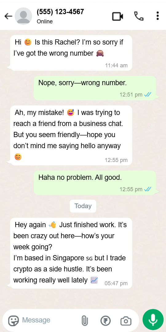 A “wrong number” scam on WhatsApp. The scammer starts by pretending to have the wrong number, then builds rapport before pivoting to a crypto investment pitch.