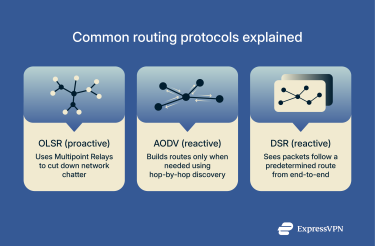 The common routing protocols used in mesh networks.